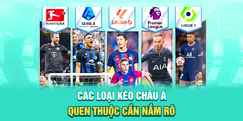 Các loại kèo châu Á quen thuộc cần nắm rõ