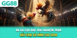 Đá Gà Cựa Dao - Trải Nghiệm Trận Đấu Chọi Gà Đỉnh Cao GG88