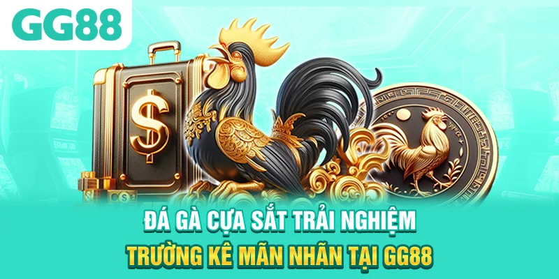 Đá Gà Cựa Sắt - Trải Nghiệm Trường Kê Mãn Nhãn Tại GG88