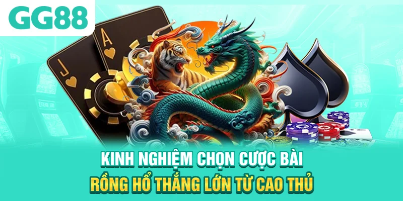 Kinh nghiệm chọn cược bài rồng hổ thắng lớn từ cao thủ