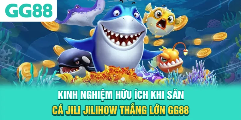 Kinh nghiệm hữu ích khi săn cá Jili Jilihow thắng lớn GG88