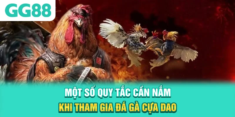 Một số quy tắc cần nắm khi tham gia đá gà cựa dao