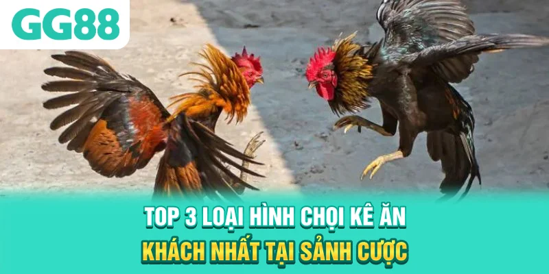 Top 3 loại hình chọi kê ăn khách nhất tại sảnh cược